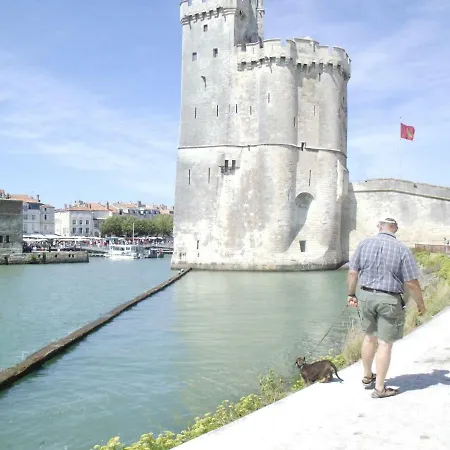 Chanterelle Echillais