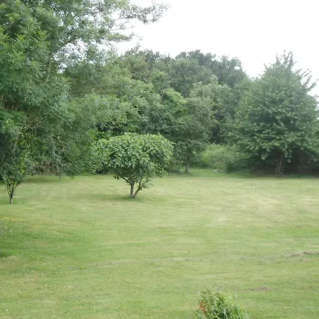 Проживание в семье Chanterelle