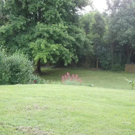 Chanterelle Echillais