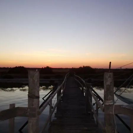 Проживание в семье Chanterelle