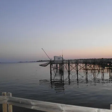 Проживание в семье Chanterelle *