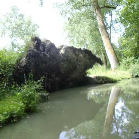 Проживание в семье Chanterelle *