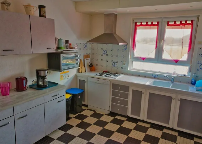 Chanterelle Echillais