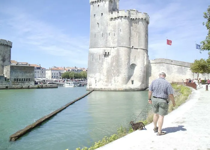 Chanterelle Echillais