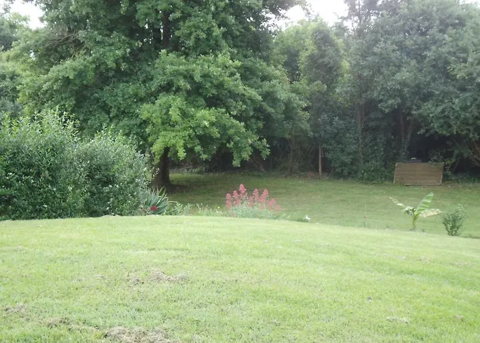 Chanterelle Echillais