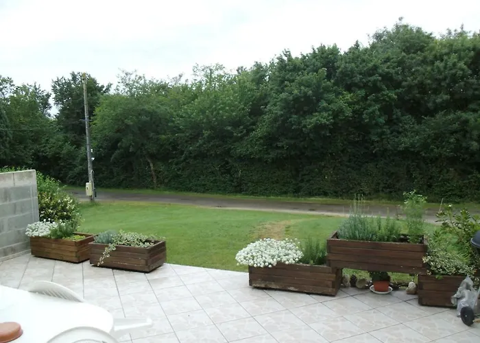 Chanterelle * Echillais