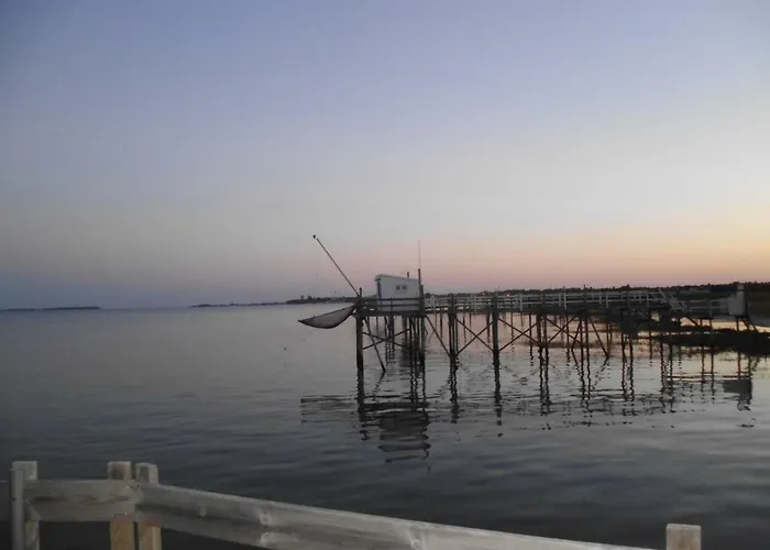 Privatunterkunft Chanterelle *