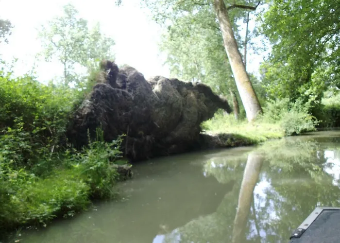 Privatunterkunft Chanterelle *